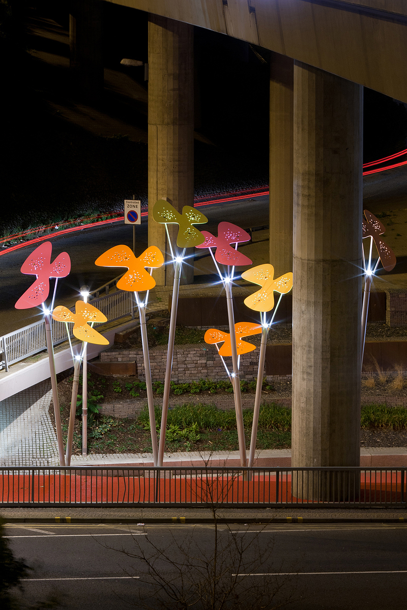 Phoenix Flowers Dave Morris Photography
